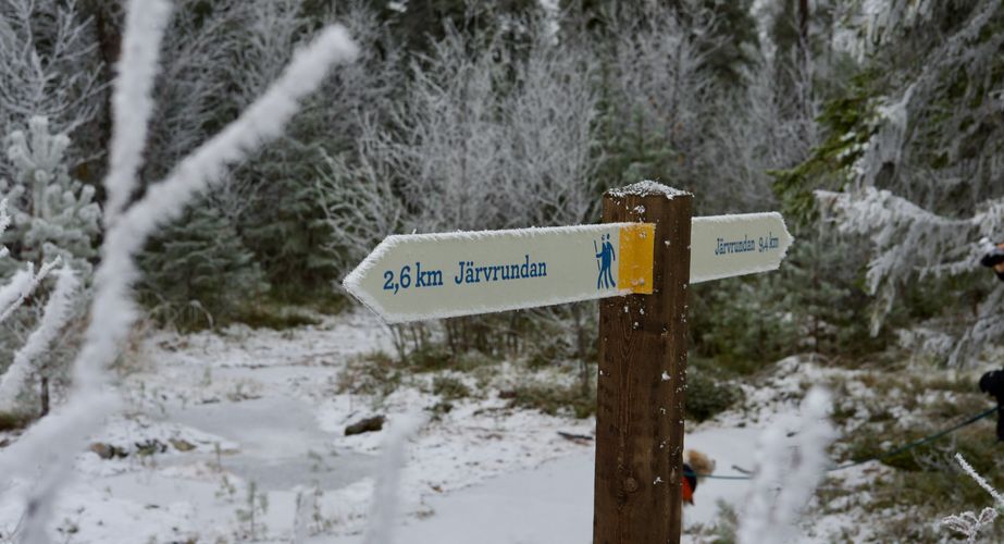 Wandelingen in de omgeving